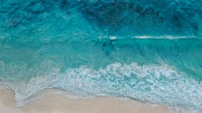 chris-l-dGogbPrvA-unsplash